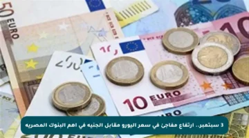 3 سبتمبر.. ارتفاع مفاجئ في سعر اليورو مقابل الجنيه في أهم البنوك المصرية